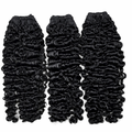 Love Signature Burmese Curly